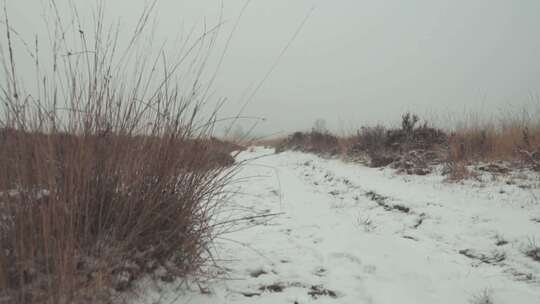 航拍特写被大雪覆盖的森林鹅毛大雪雾凇