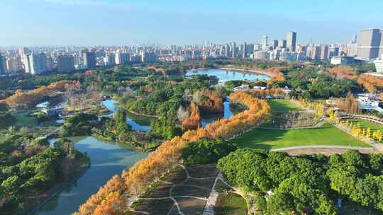 上海世纪公园秋景  上海秋景