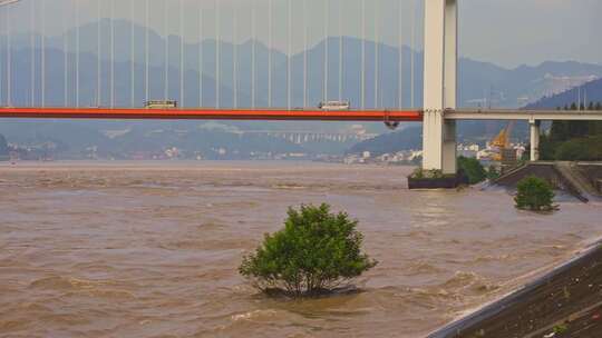 实拍长江洪水过境升格视频视频素材模板下载