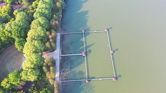 航拍武汉5A级旅游东湖听涛景区栈道视频素材模板下载