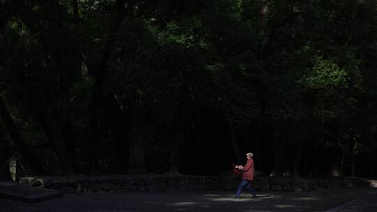 天台山国清寺禅院建筑视频