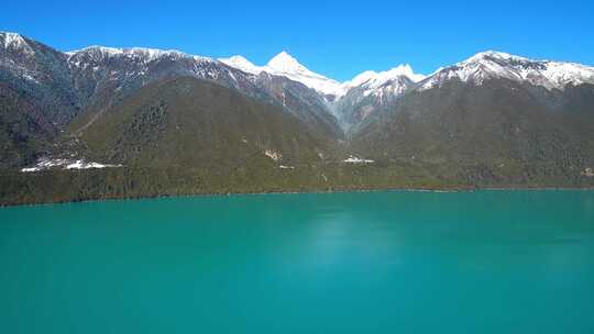 航拍西藏林芝巴松措景区雪山森林湖泊风光