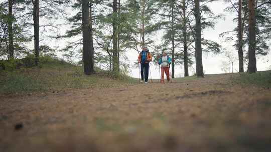 老年徒步旅行者男子女子在自然泉公园徒步旅