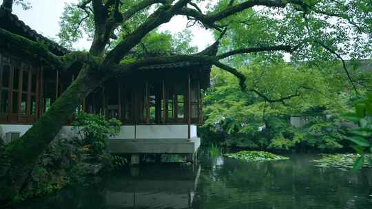 杭州西湖郭庄园林江南烟雨