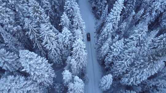 航拍汽车行驶在被雪覆盖的森林道路上