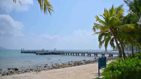 中国三亚大东海海滩蓝天下椰树椰林风光