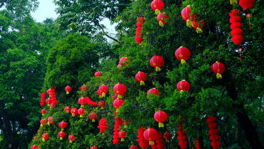 过年春节挂在树上的灯笼视频素材模板下载