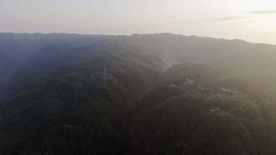 航拍高山竹海日出