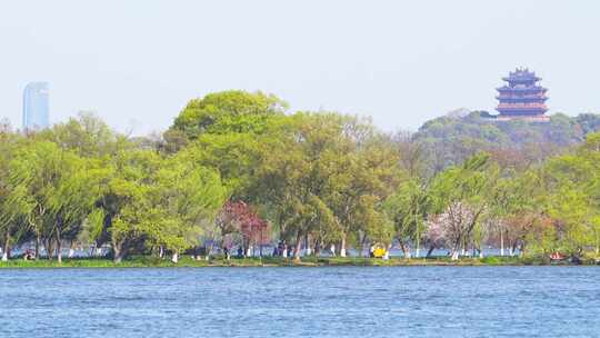 杭州西湖城隍阁春天风景