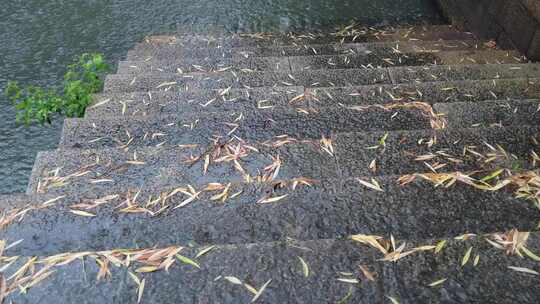 城市下雨素材雨水雨滴实拍