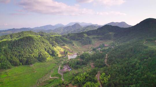 航拍山脉茶田/盆地/梯田/广告可用