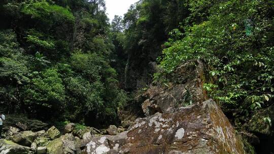 广西南宁绿色森林大明山航拍视频素材模板下载