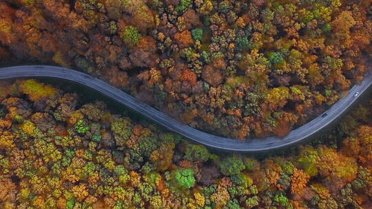 航拍汽车经过森里的公路视频素材模板下载