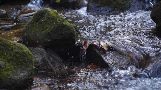 河流溪流溪水泉水河流水流河水水源山水河水视频素材模板下载