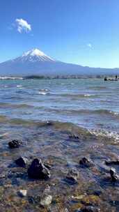 春天的河口湖和美丽的富士山