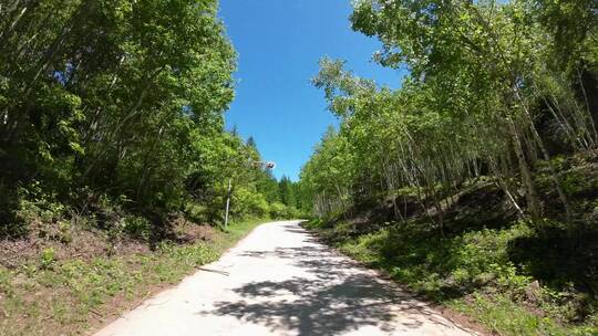 开车视角 白天 行驶在公路上