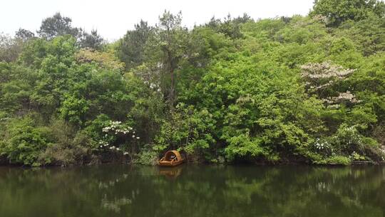 飞向湖船林