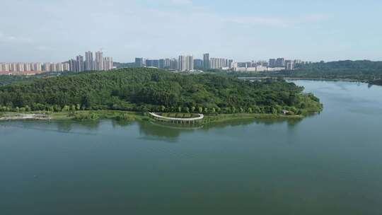 广东荔湖公园航拍空景素材