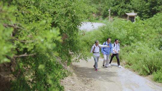 一群老朋友沿着乡间小路徒步旅行登山杆退休