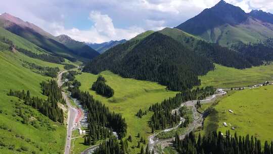 草场山林公路，绿色大自然