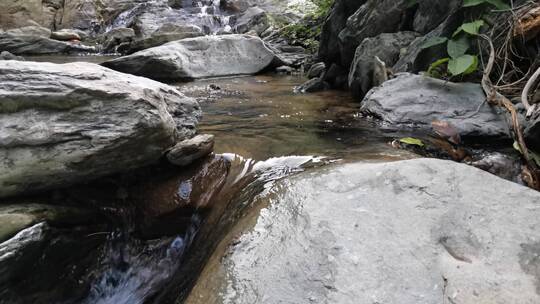 山涧清泉任性流 远无积虑近无忧