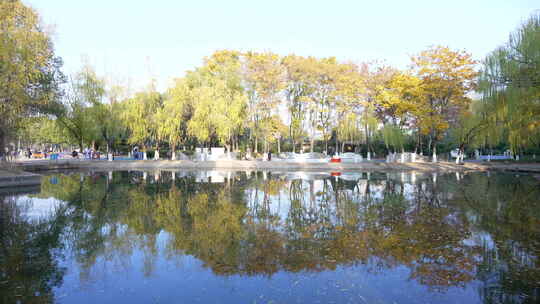 武汉东西湖常青花园中心公园风景