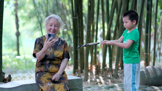 炎热夏天竹林里看手机  孙子给奶奶摇扇子