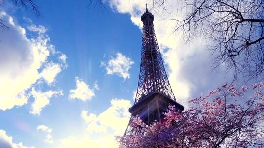 埃菲尔铁塔和樱花树