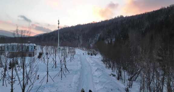 空中俯瞰积雪森林间的道路