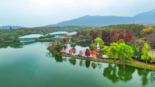 中山植物园前湖秋景合集视频素材模板下载