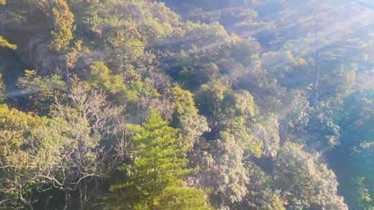 安徽黄山风景区风景视频素材