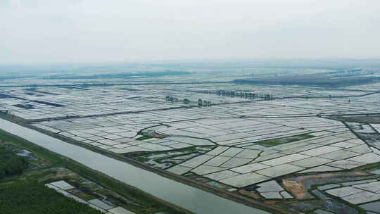 航拍黑龙江省大庆市春季新播种的水稻田