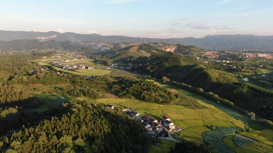 航拍乡村田园农业种植农田