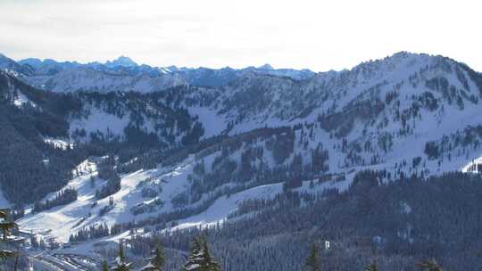 树，雪，山，冬天