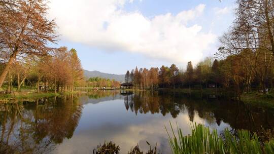 重庆璧山观音塘湿地公园