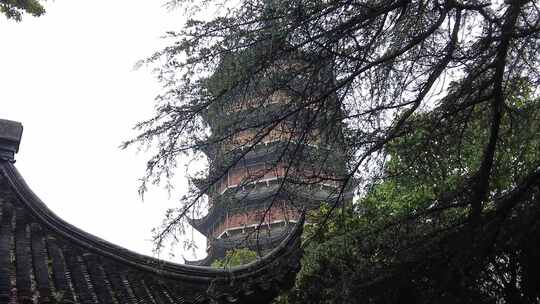 古建筑下雨素材苏州北寺塔实拍