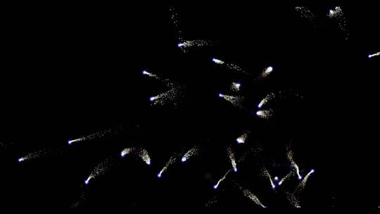 烟花高帧实拍新年节日庆祝夜晚天空五颜六色