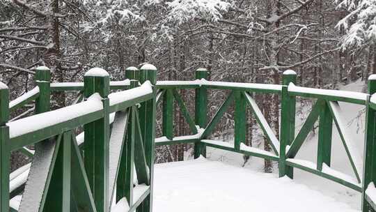 贺兰山金顶雪景视频 (41)