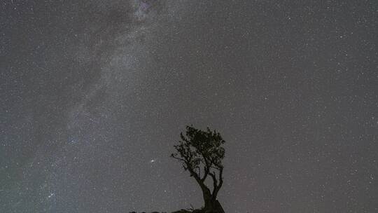 河南大别山信阳黄毛尖星空延时风光 8K