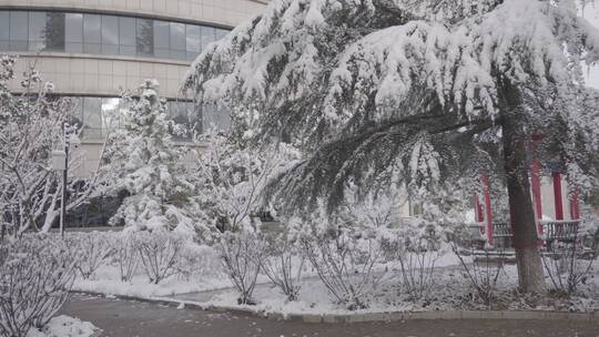 4k｜雪景