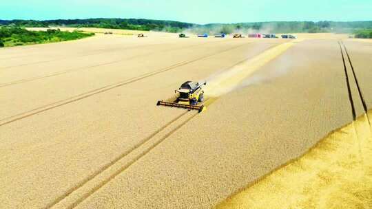 秋收农业粮食丰收秋天三农