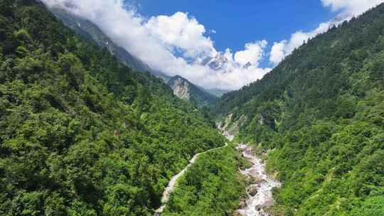 航拍四川贡嘎山区南门关沟森林河谷雪山风光