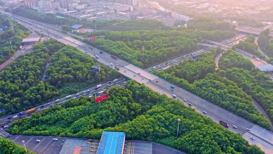 深圳龙华城市地标航拍视频