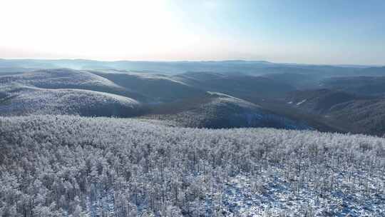 大兴安岭冬天森林雪景山峦起伏沟壑纵横