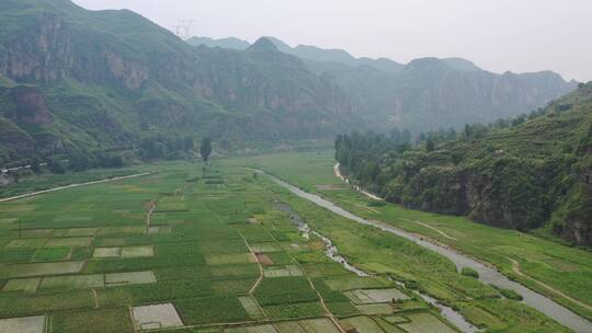 航拍大山稻田