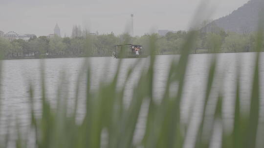 湘湖春天雨后实拍素材