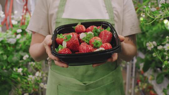 新鲜的草莓视频素材模板下载