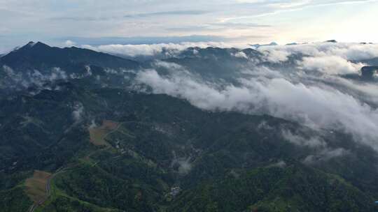 大雾清晨云雾大山云海森林自然云山脉山区