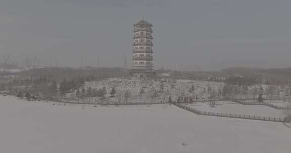 雪中的多层塔楼风景