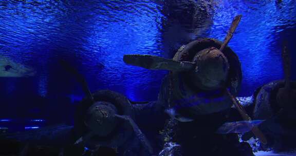 在水下飞机的水族馆里钓鱼